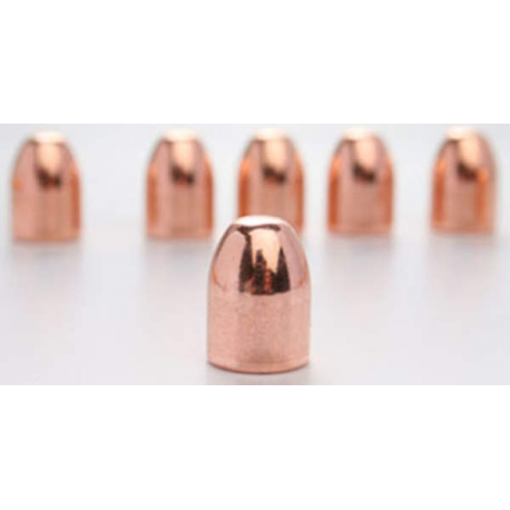 Speer 45 cal .451 185 gr TMJ FP