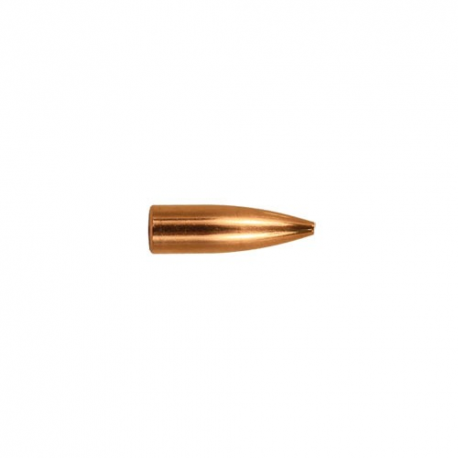 Berger Moly 22 cal 55 gr Match Grade