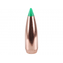 Nosler Ballistik Tip 30 cal .308 Spitzer 180 gr