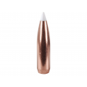 Nosler AccuBond 30 Cal .308 Spitzer