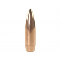 Lapua 30 cal .308 167 gr