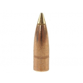 Remington 30 cal .308 150 gr Bronze Point