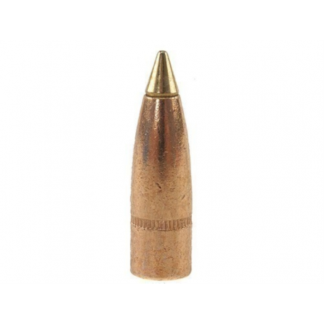 Remington 30 cal .308 150 gr Bronze Point