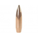 Lapua Magnum .338 300 gr SCENAR